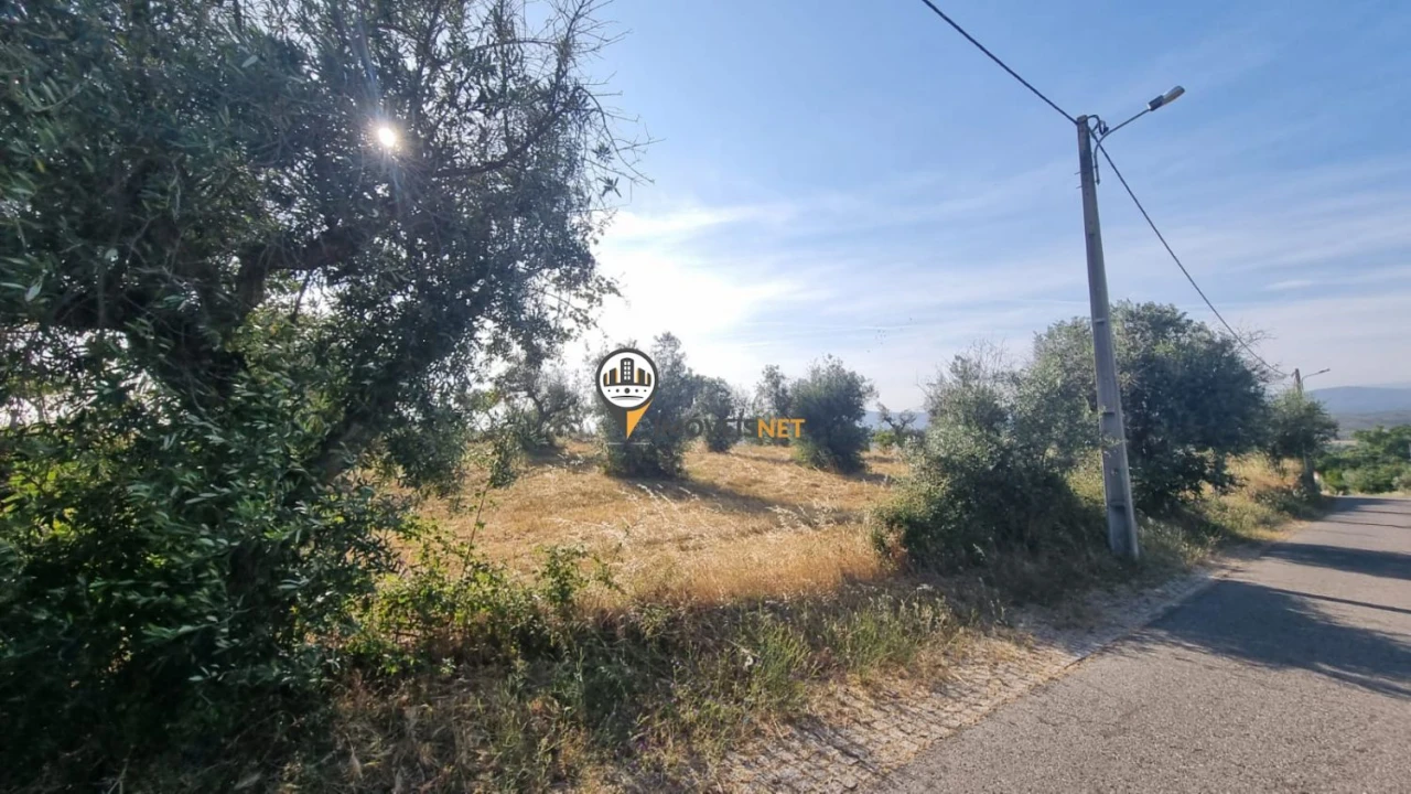 Terreno para Venda em Benquerenças Foto 8