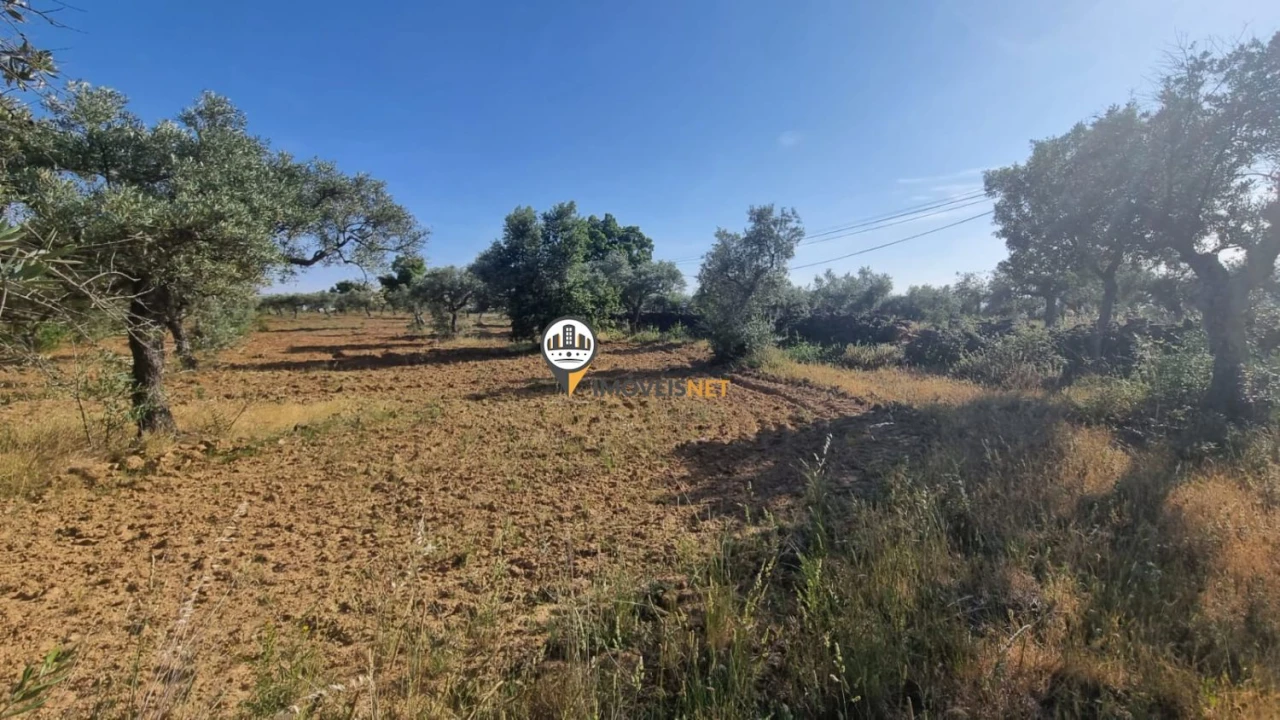 Terreno para Venda em Benquerenças Foto 3