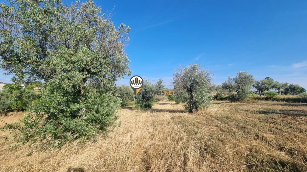 Terreno para Venda em Benquerenças Foto 7
