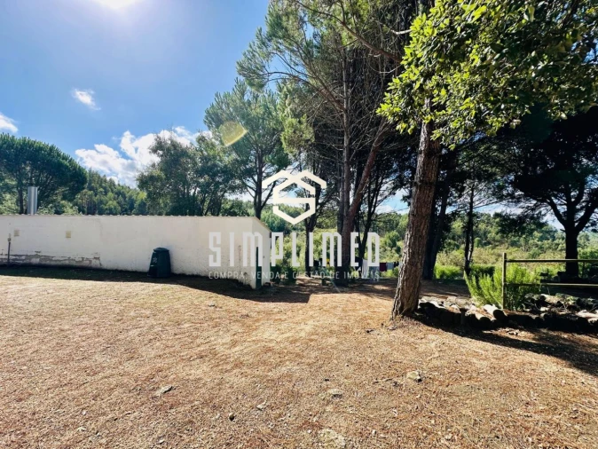 Quinta T3 para Venda em Tabua Foto 27