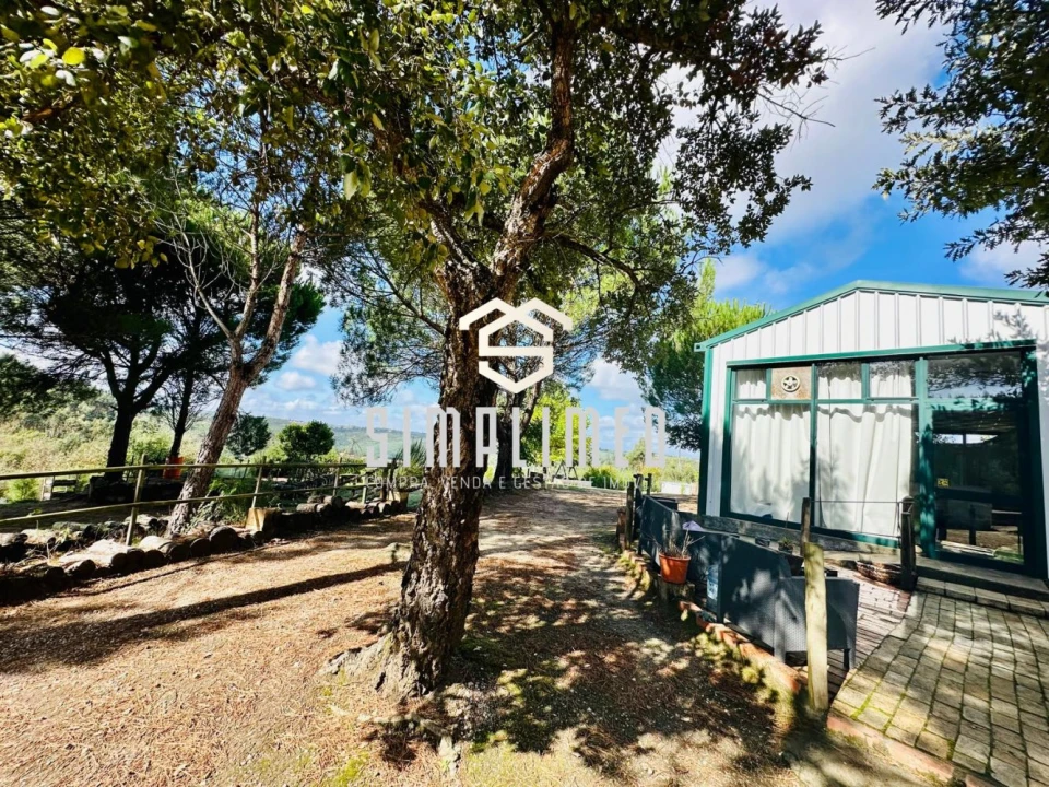 Quinta T3 para Venda em Tabua Foto 26