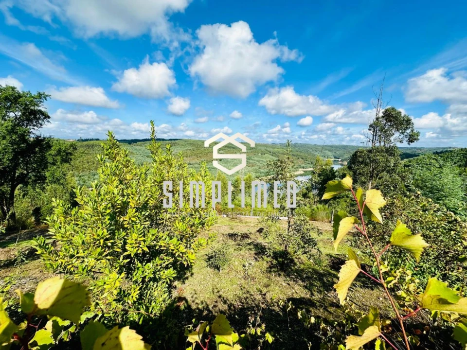 Quinta T3 para Venda em Tabua Foto 33