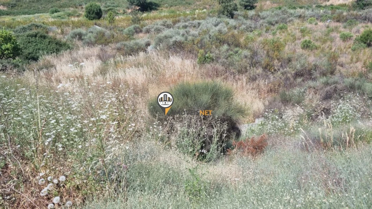 Terreno para Venda em Castelo Branco Foto 3