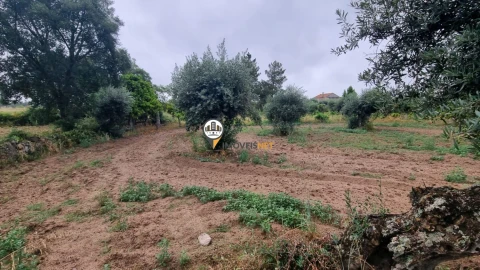 Terreno para Venda em Castelo Branco