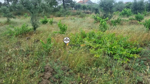 Terreno para Venda em Castelo Branco