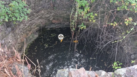 Terreno para Venda em Castelo Branco