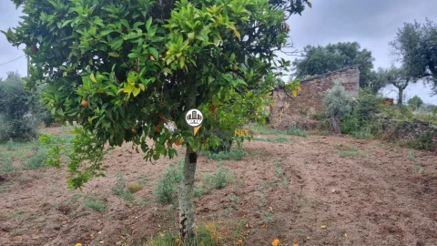 Terreno para Venda em Castelo Branco