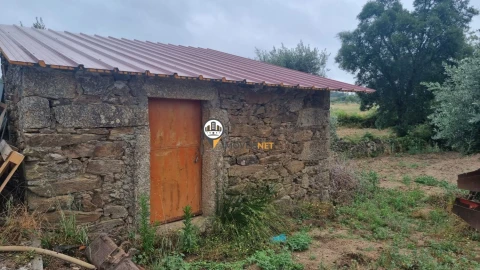 Terreno para Venda em Castelo Branco