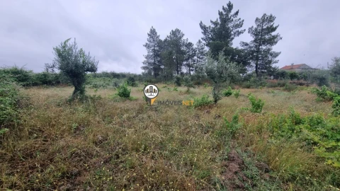 Terreno para Venda em Castelo Branco
