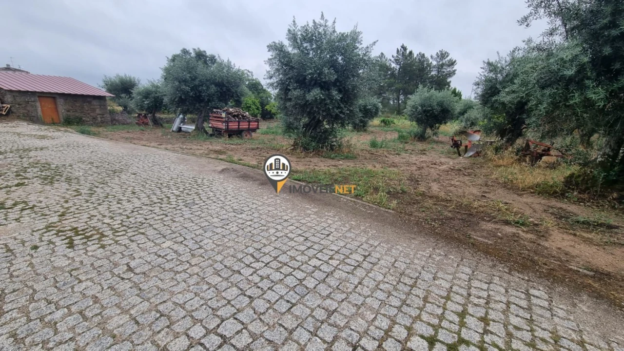 Terreno para Venda em Castelo Branco Foto 2