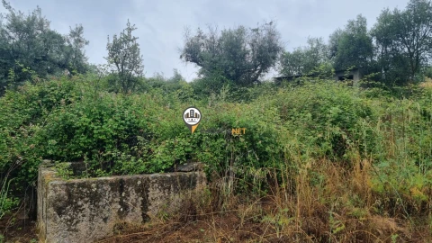Terreno para Venda em Castelo Branco