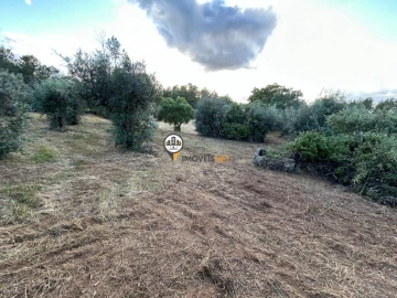 Terreno para Venda em Castelo Branco
