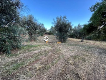Terreno para Venda em Castelo Branco