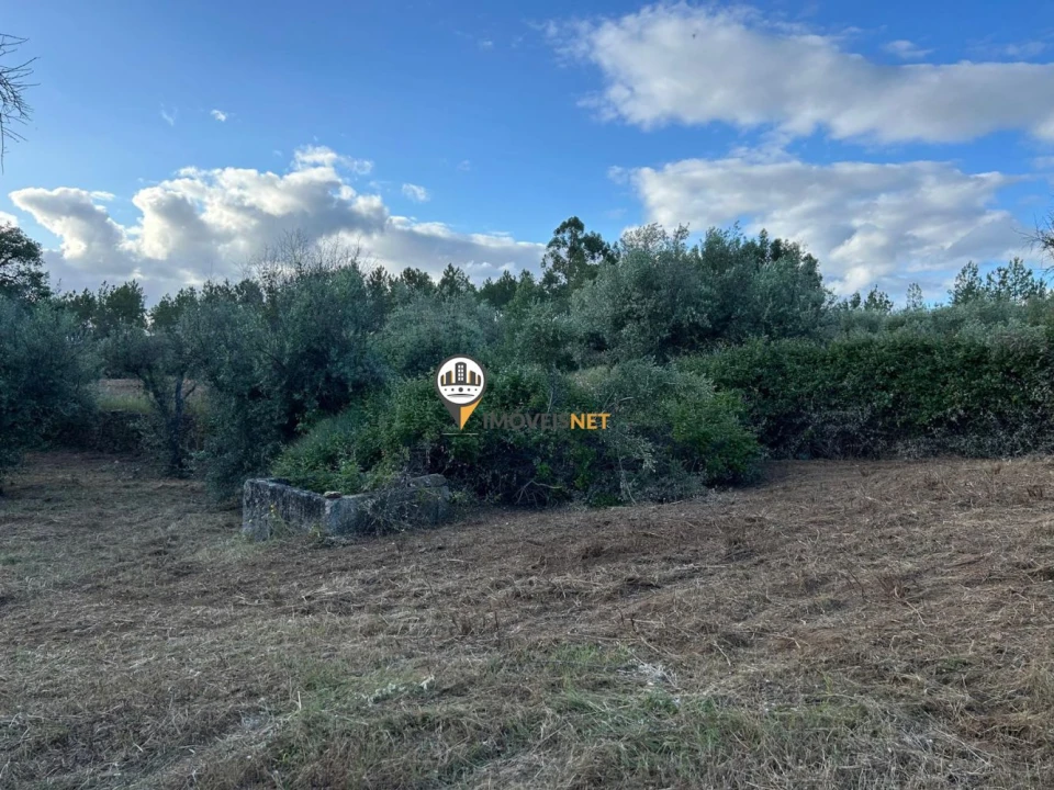 Terreno para Venda em Castelo Branco Foto 3