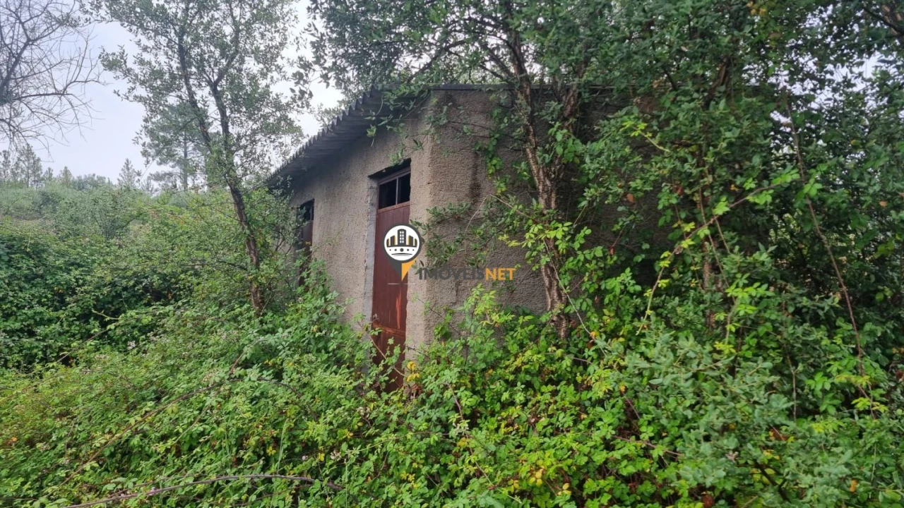 Terreno para Venda em Castelo Branco Foto 13