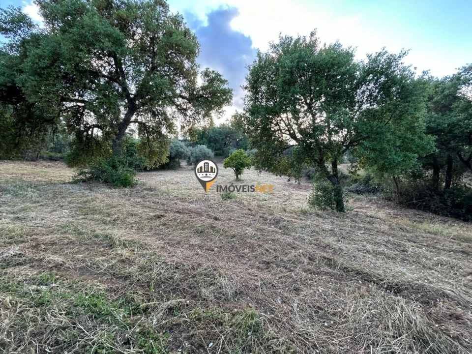 Terreno para Venda em Castelo Branco Foto 10