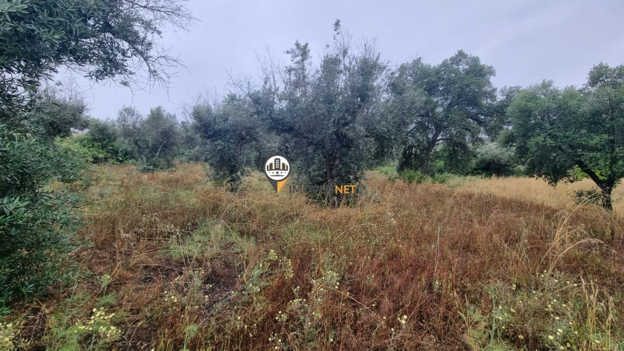 Terreno para Venda em Castelo Branco Foto 16