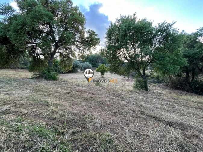 Terreno para Venda em Castelo Branco Foto 10