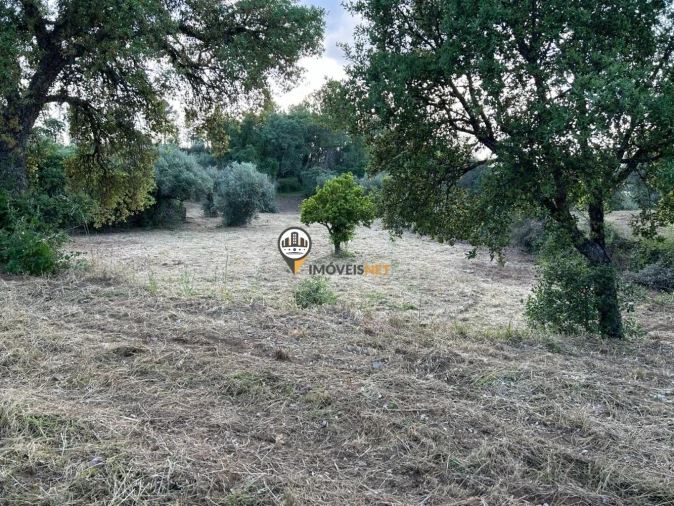 Terreno para Venda em Castelo Branco Foto 11