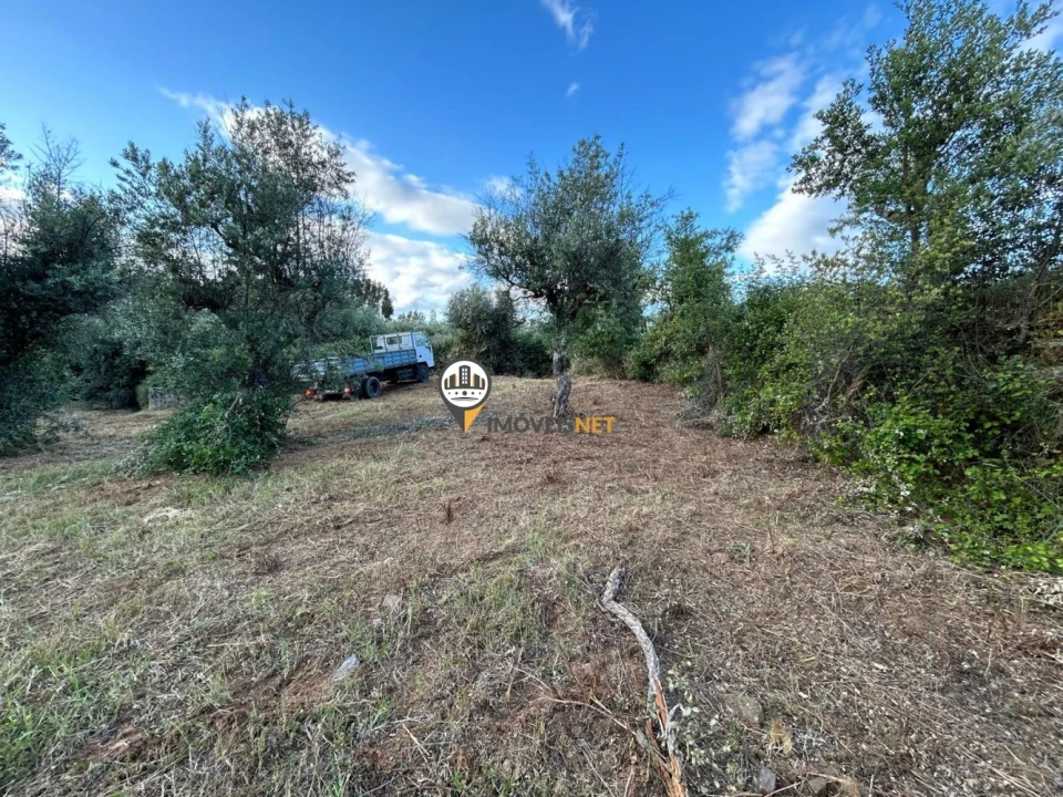 Terreno para Venda em Castelo Branco Foto 2