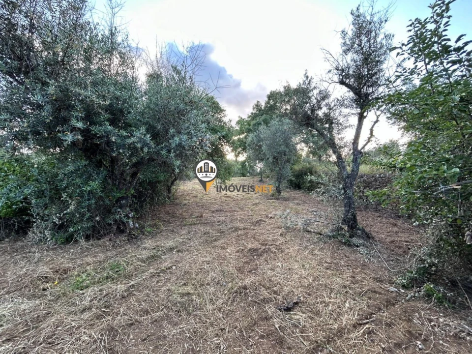 Terreno para Venda em Castelo Branco Foto 9