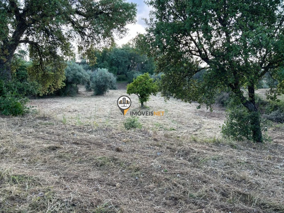 Terreno para Venda em Castelo Branco Foto 11