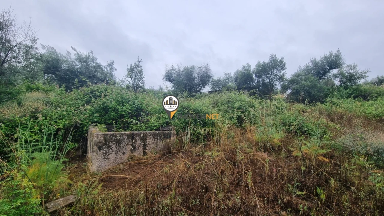 Terreno para Venda em Castelo Branco Foto 5