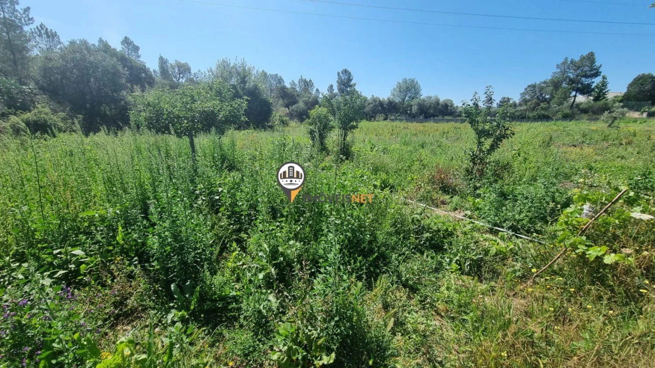 Terreno para Venda em Castelo Branco Foto 9