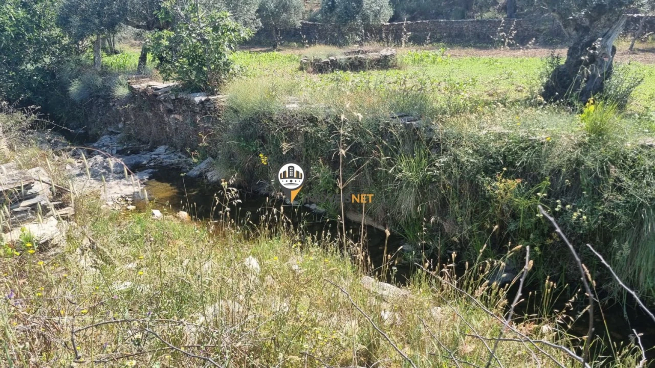 Terreno para Venda em Castelo Branco Foto 8