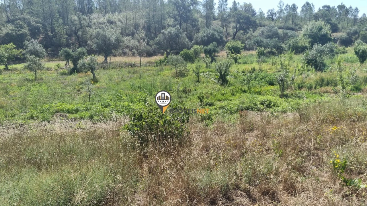 Terreno para Venda em Castelo Branco Foto 13