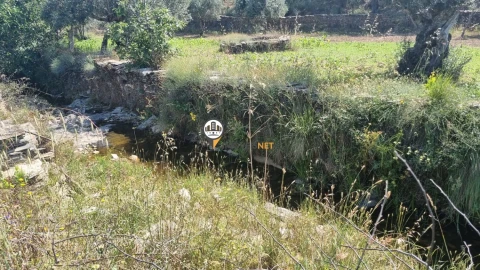 Terreno para Venda em Castelo Branco