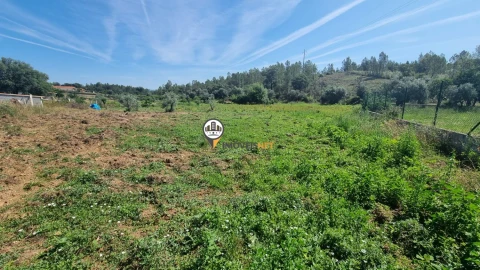 Terreno para Venda em Castelo Branco