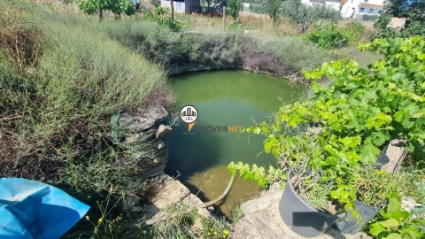 Terreno para Venda em Castelo Branco