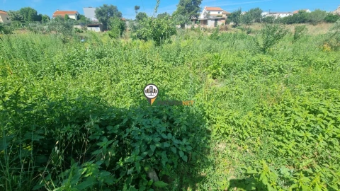 Terreno para Venda em Castelo Branco