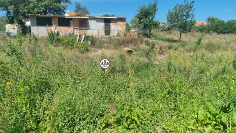 Terreno para Venda em Castelo Branco