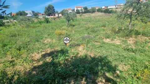 Terreno para Venda em Castelo Branco