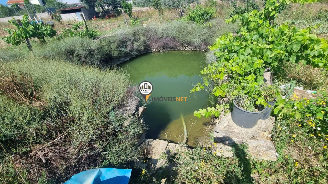 Terreno para Venda em Castelo Branco Foto 5
