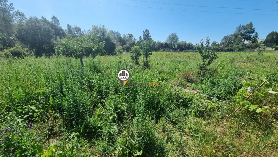 Terreno para Venda em Castelo Branco Foto 9