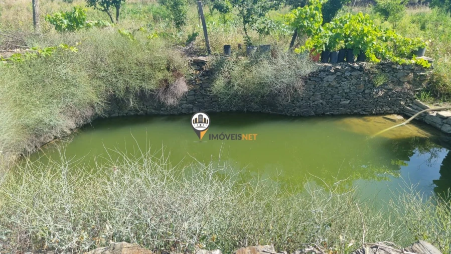 Terreno para Venda em Castelo Branco Foto 2