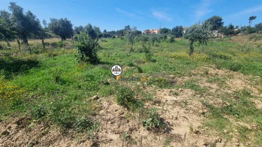 Terreno para Venda em Castelo Branco Foto 14