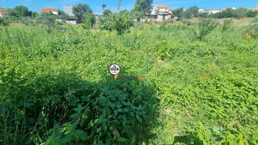 Terreno para Venda em Castelo Branco Foto 16