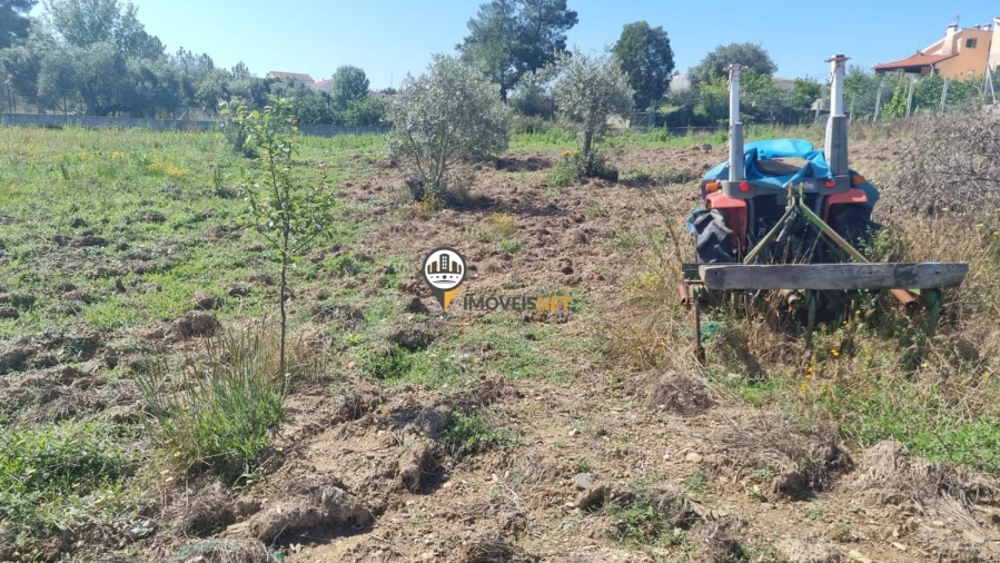 Terreno para Venda em Castelo Branco Foto 4