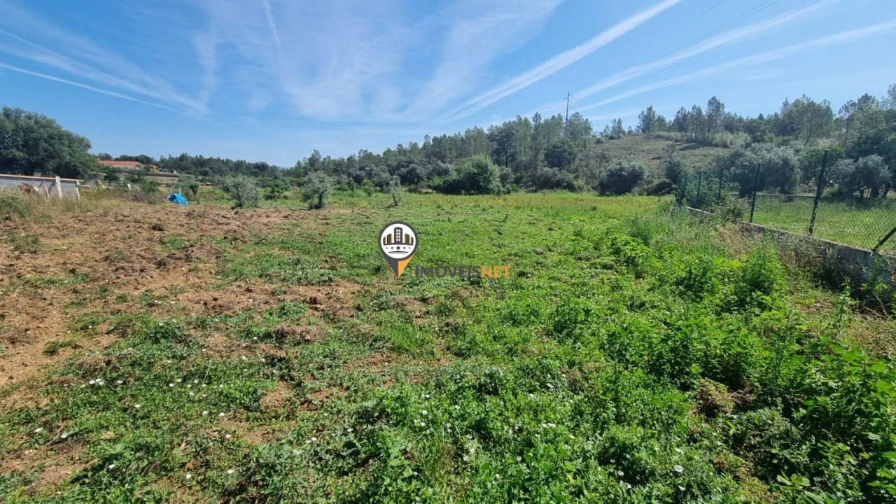 Terreno para Venda em Castelo Branco Foto 6