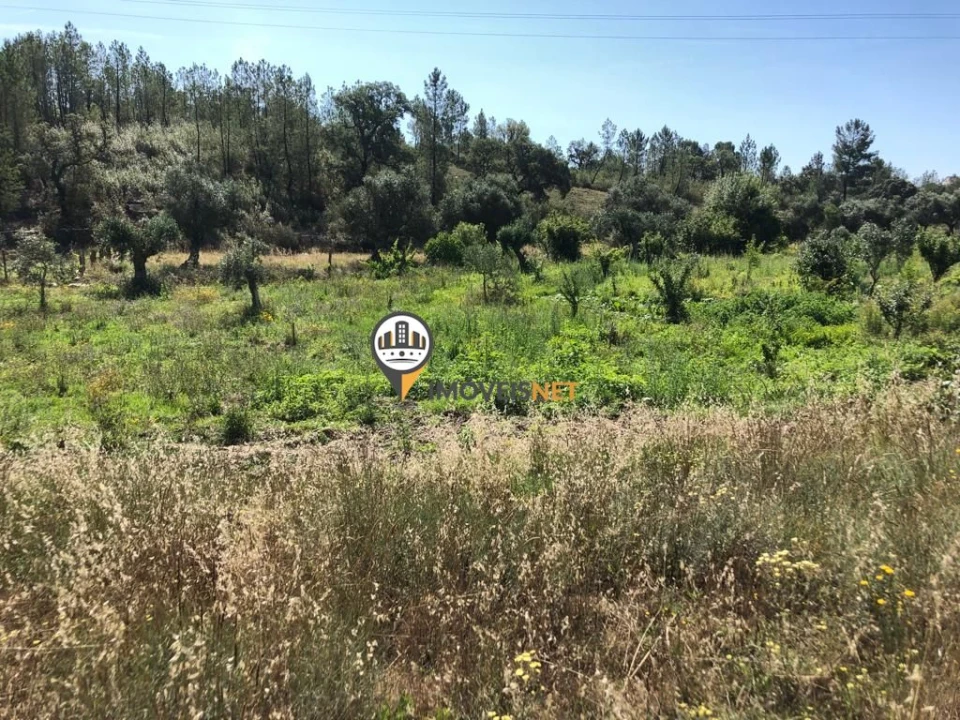 Terreno para Venda em Castelo Branco Foto 19