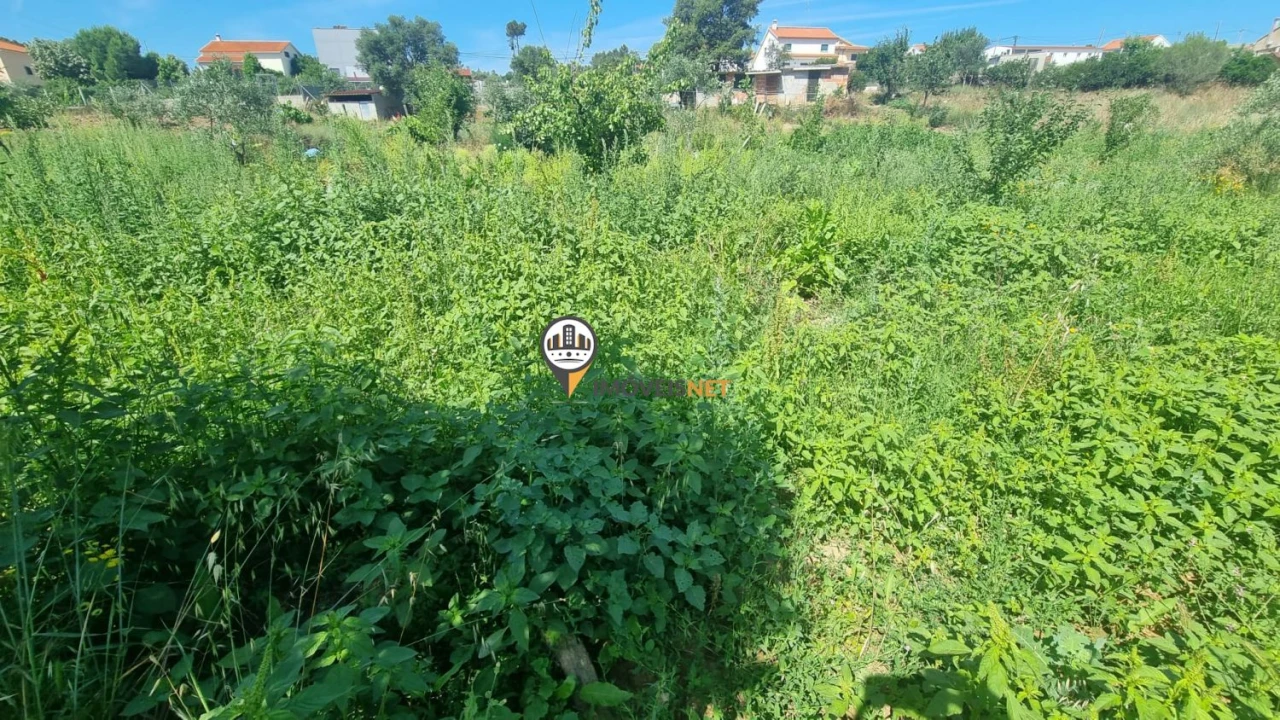 Terreno para Venda em Castelo Branco Foto 16