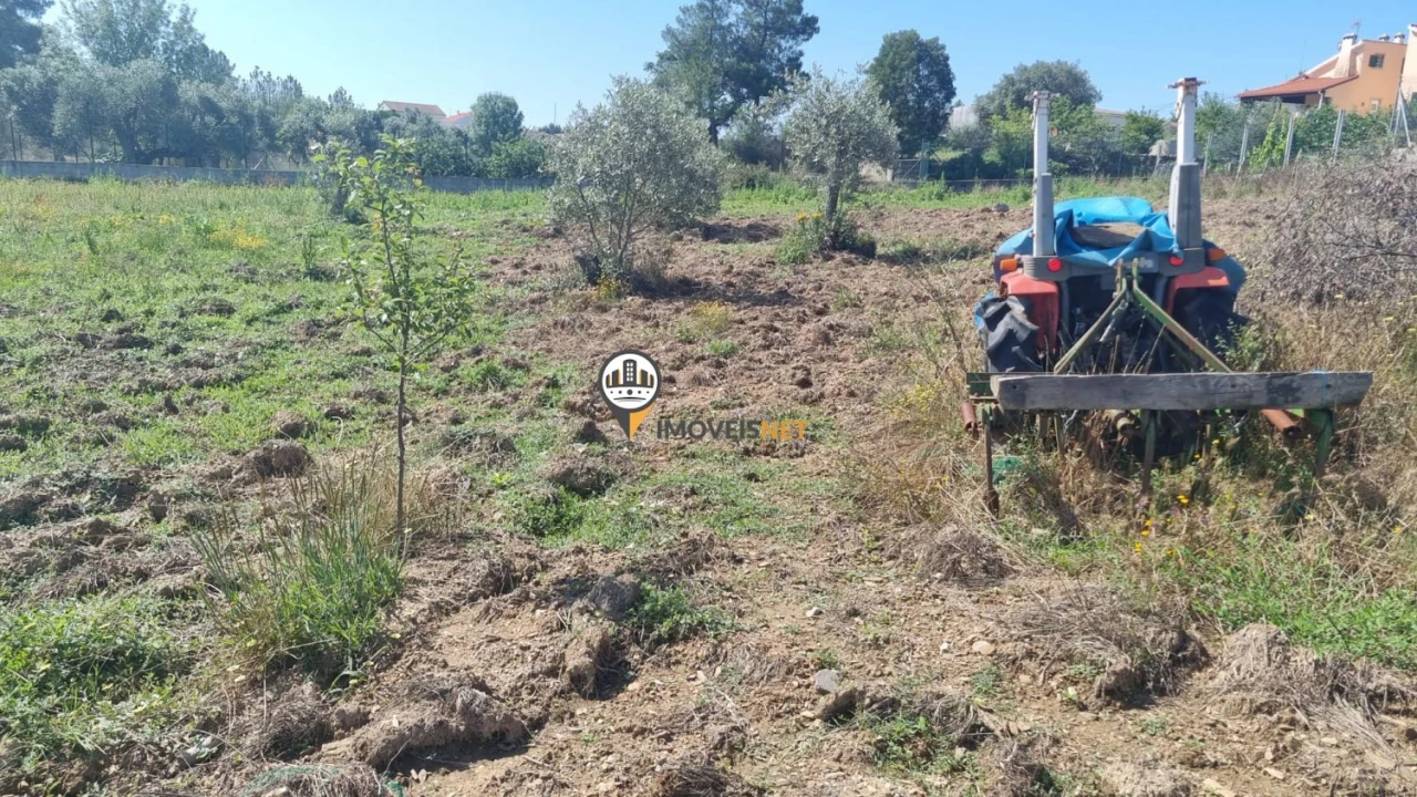 Terreno para Venda em Castelo Branco Foto 4