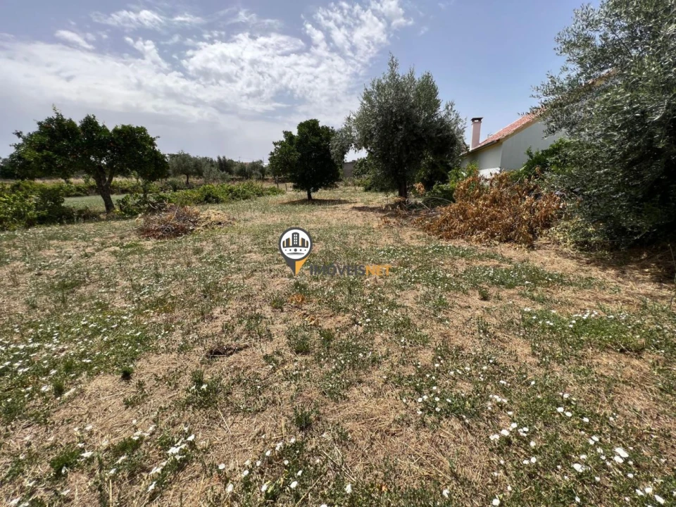 Moradia T4 para Venda em Aldeia de Santa Margarida Foto 18