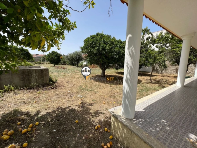 Moradia T4 para Venda em Aldeia de Santa Margarida Foto 16