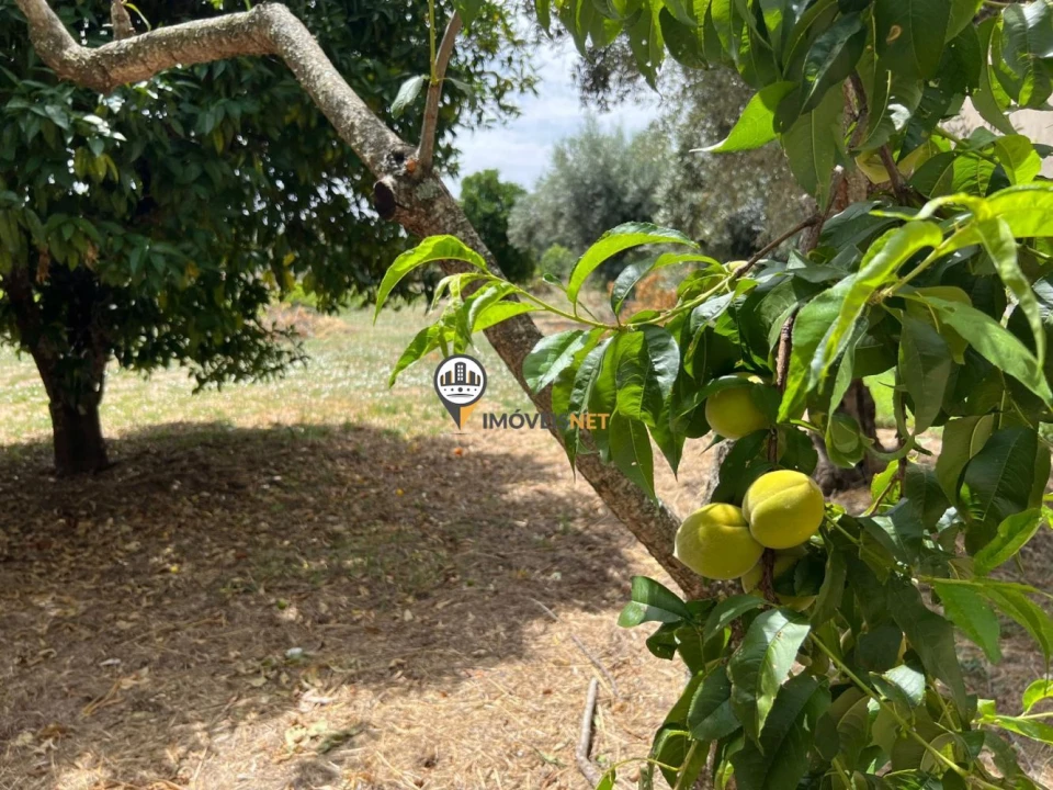 Moradia T4 para Venda em Aldeia de Santa Margarida Foto 52