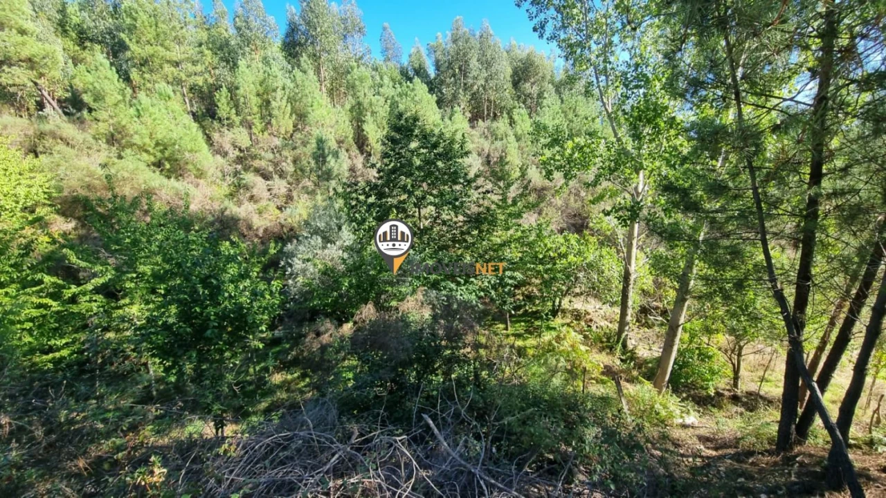 Terreno para Venda em Janeiro de Cima e Bogas de Baixo Foto 8